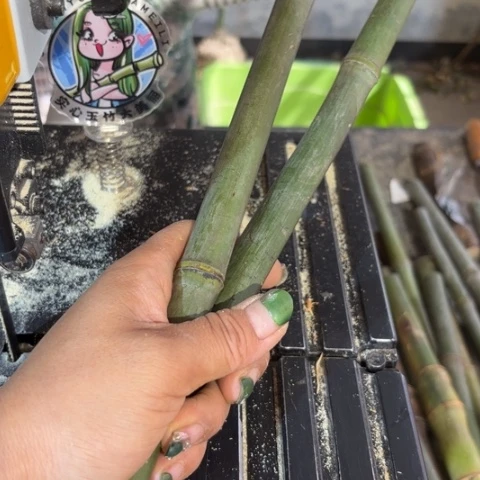 竹成*东实心竹竹竹竹竹竹竹竹