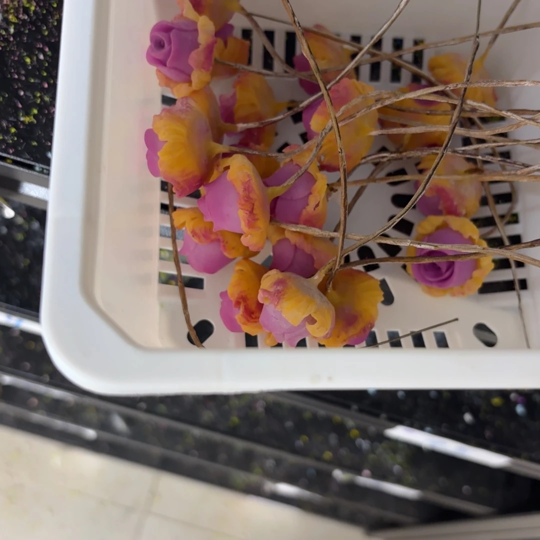 树脂制品6号噢噢噢哦哦