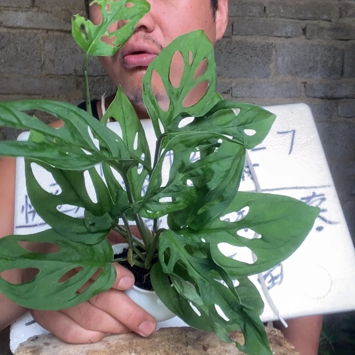 退款拉黑一物一拍216