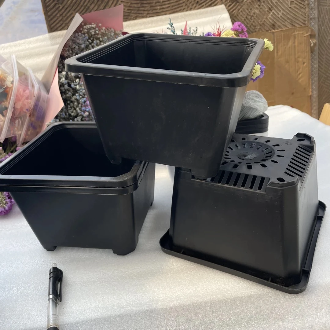 180景天黑色多肉仙人球塑料花盆50个