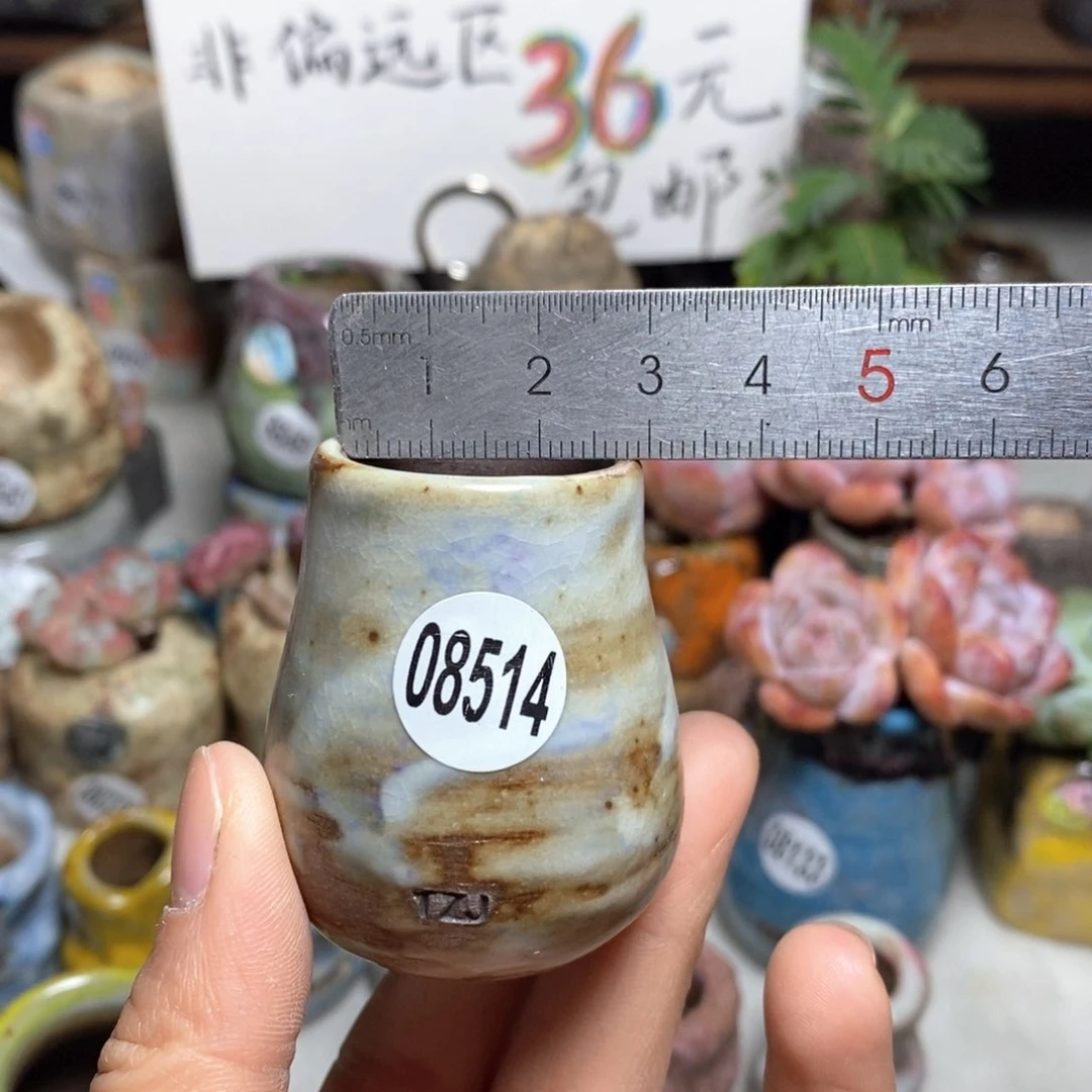 花盆拍5送一个小礼物