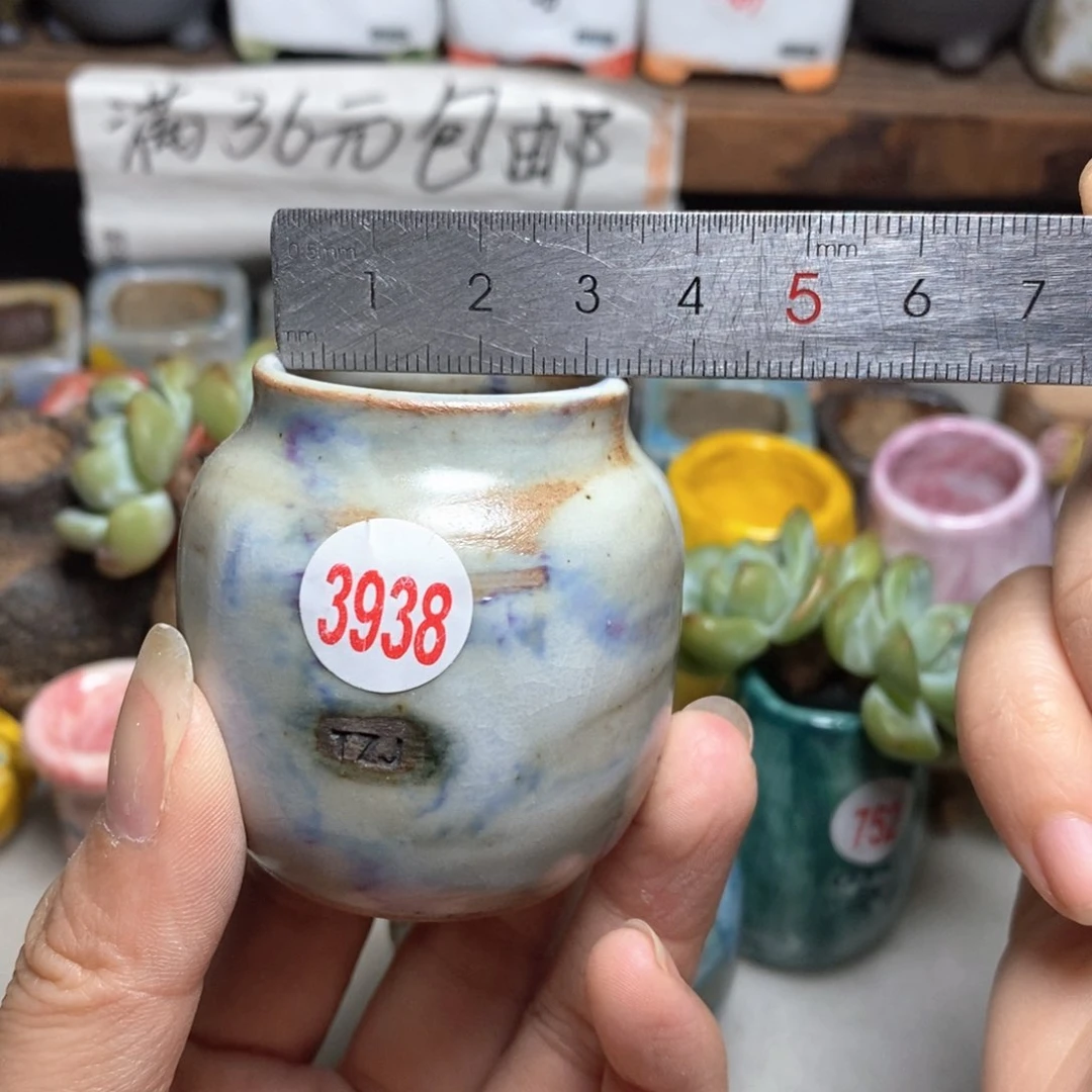拍5送一个小礼物
