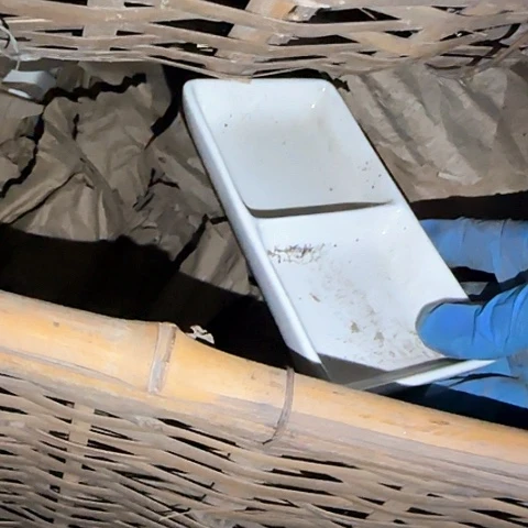 瓷片国营厂库存微瑕15厘米