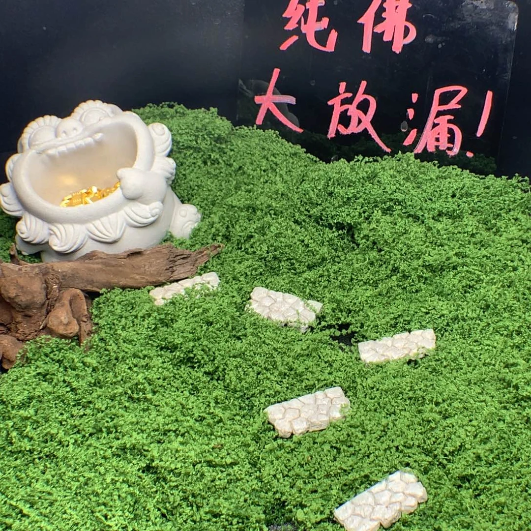 绿毛龟母云志哥龟龟专属链接