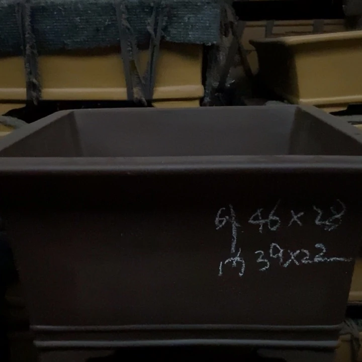 花盆紫砂只顾看着你