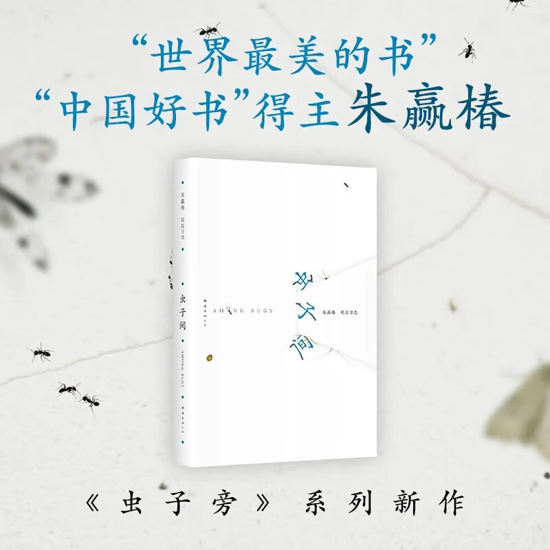 虫子间 朱赢椿持续9年的观虫日志 蹲下来 让美和有趣变得具体