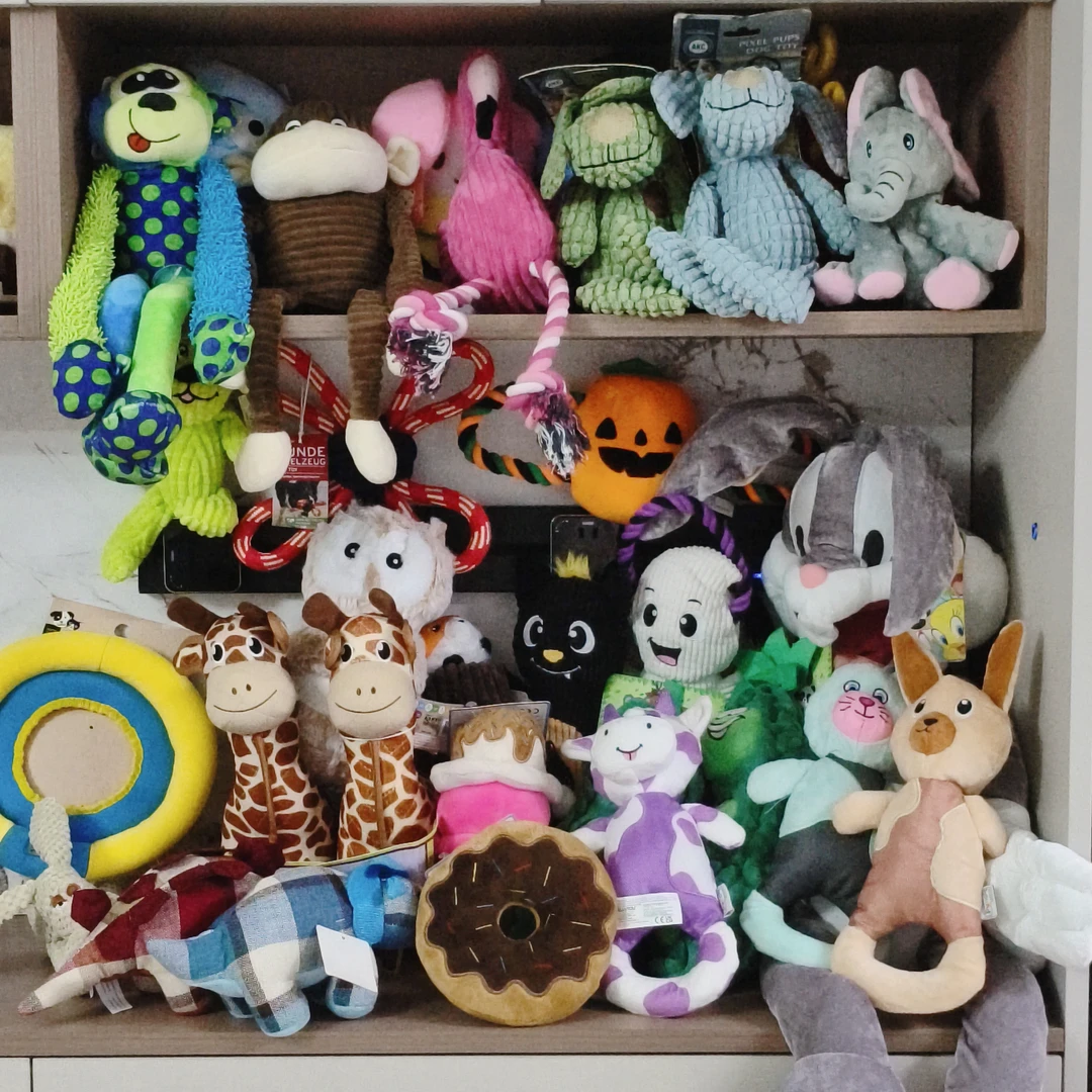 [直播专属链接] 狗狗猫咪通用，宠物玩具套餐，外贸尾单（微瑕）