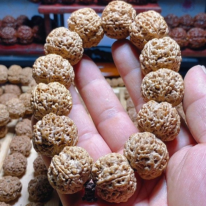 金刚菩提手串古龙梅花