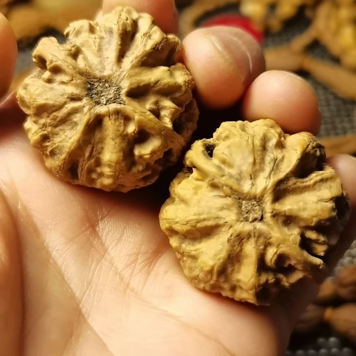 桃核吊坠拿姐13车号