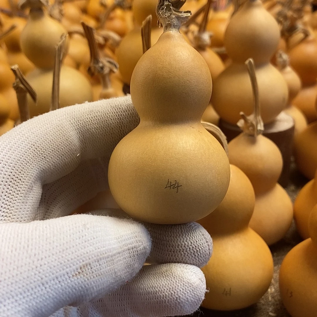 文玩葫芦 完美主义者 慎拍44