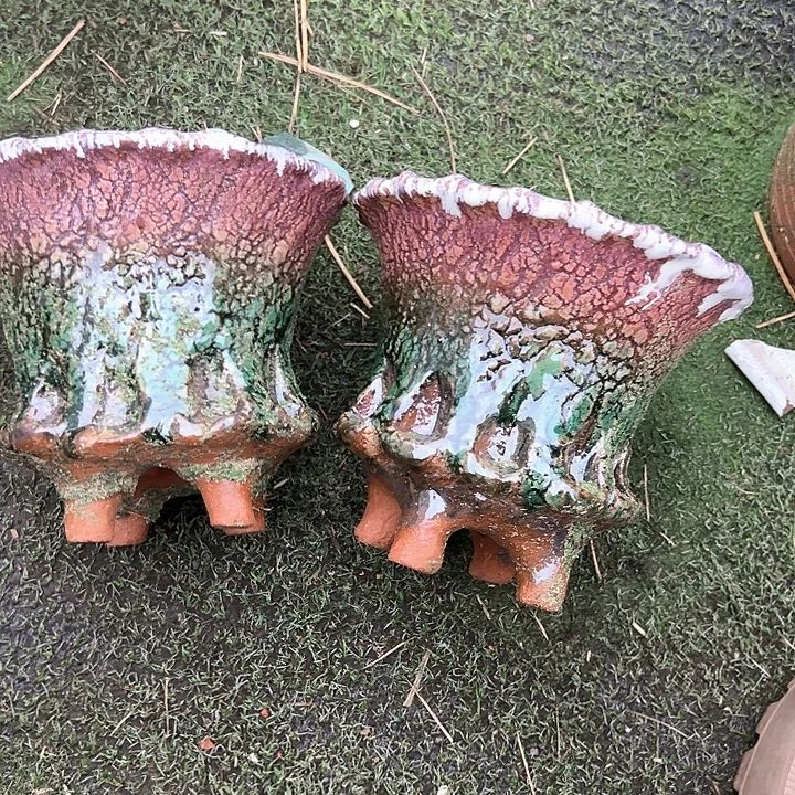 红陶口16高14福利价