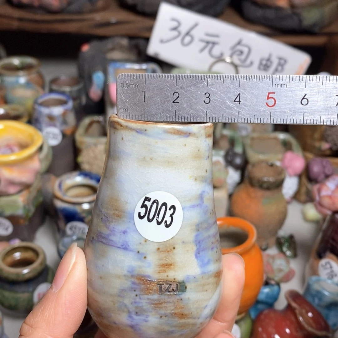 拍5送一个小礼物