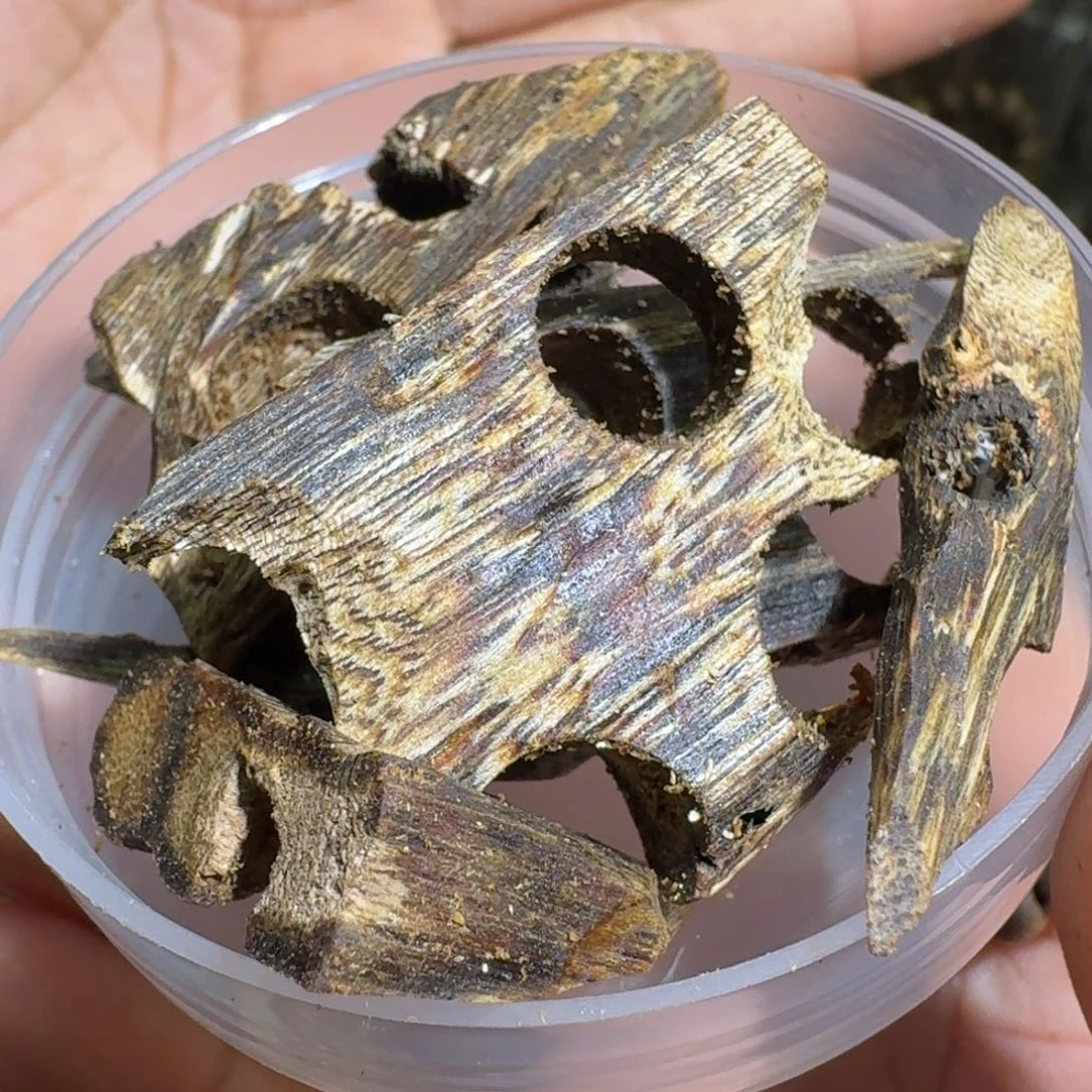 沉香沉香碎屑軍**行蓝宝石块料30克