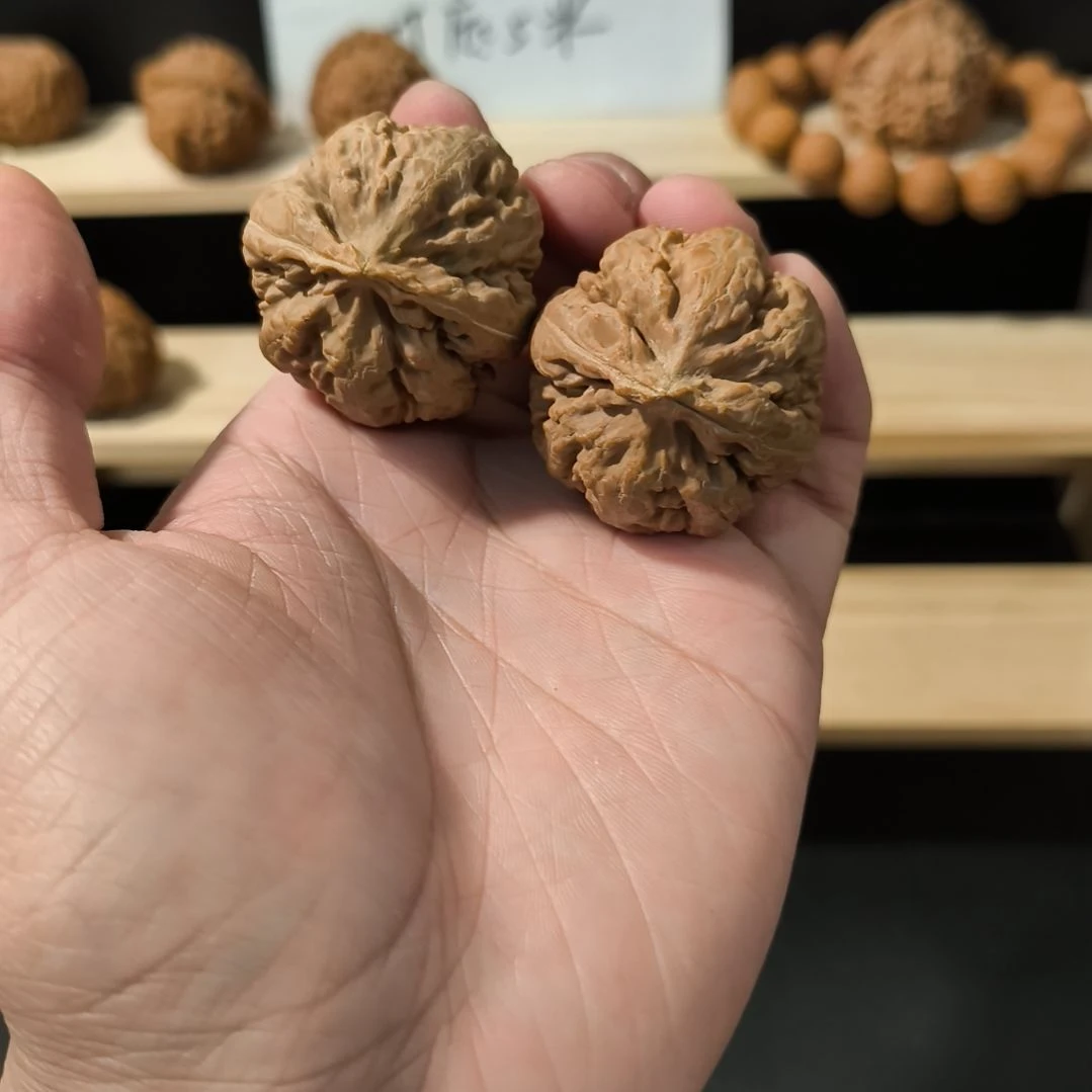 吊坠文玩核桃38霸王龙