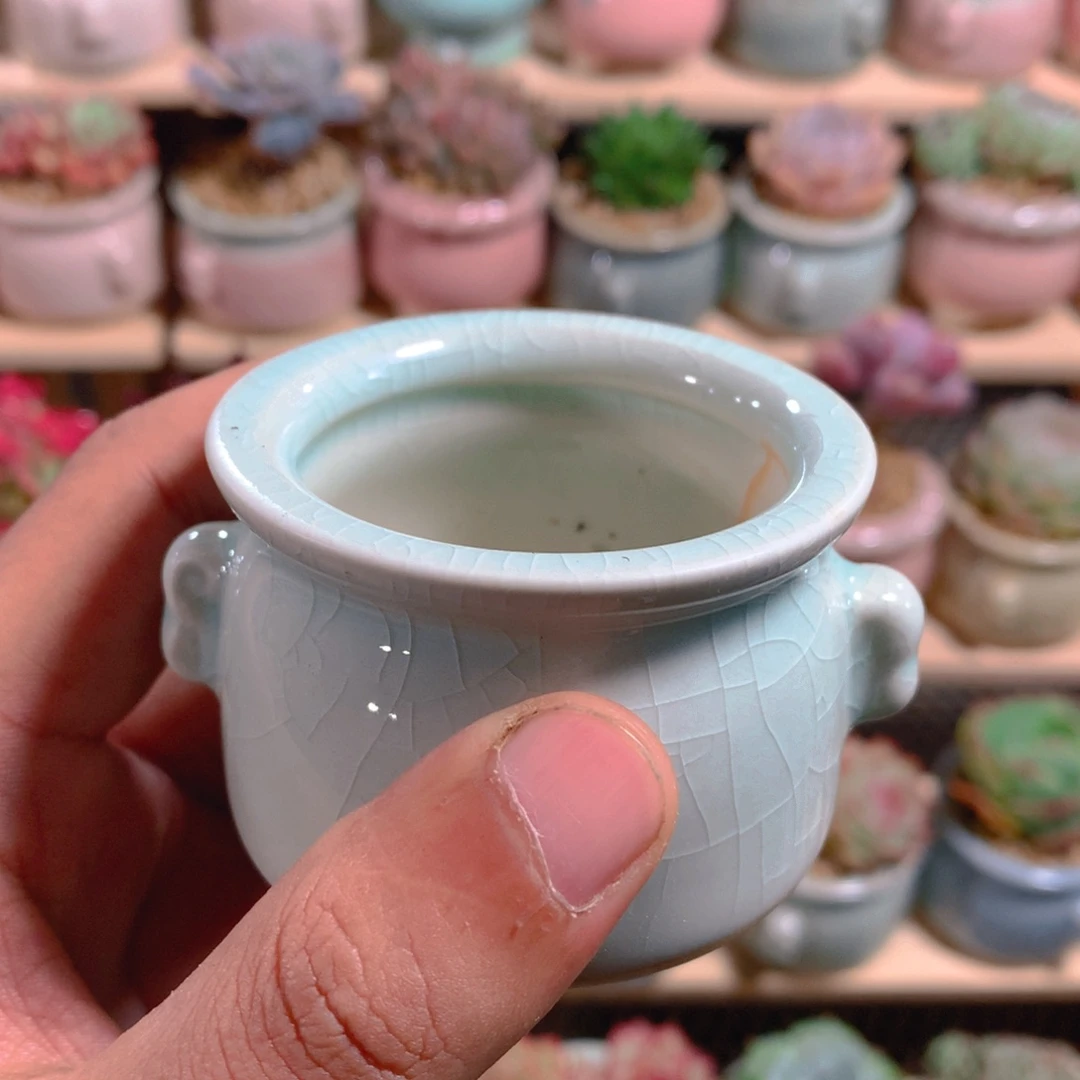 小尾巴5CM迷你拇指盆S1003