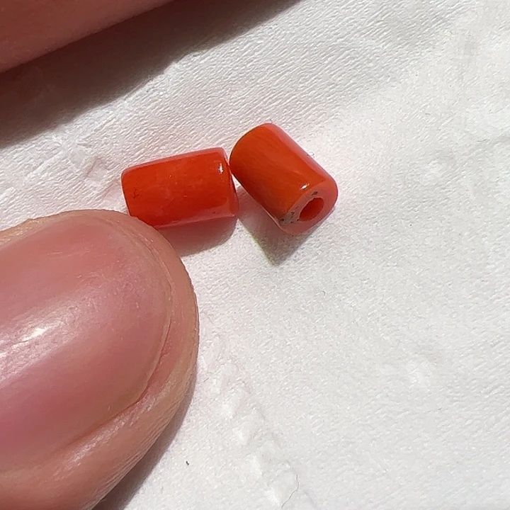 香榧木你是否也有