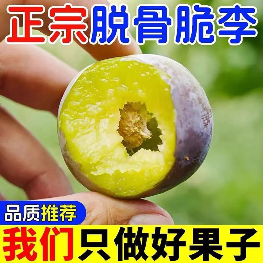 四川半边红脱骨李茵红李当季新鲜水果青红李3/5斤孕妇包邮甄选