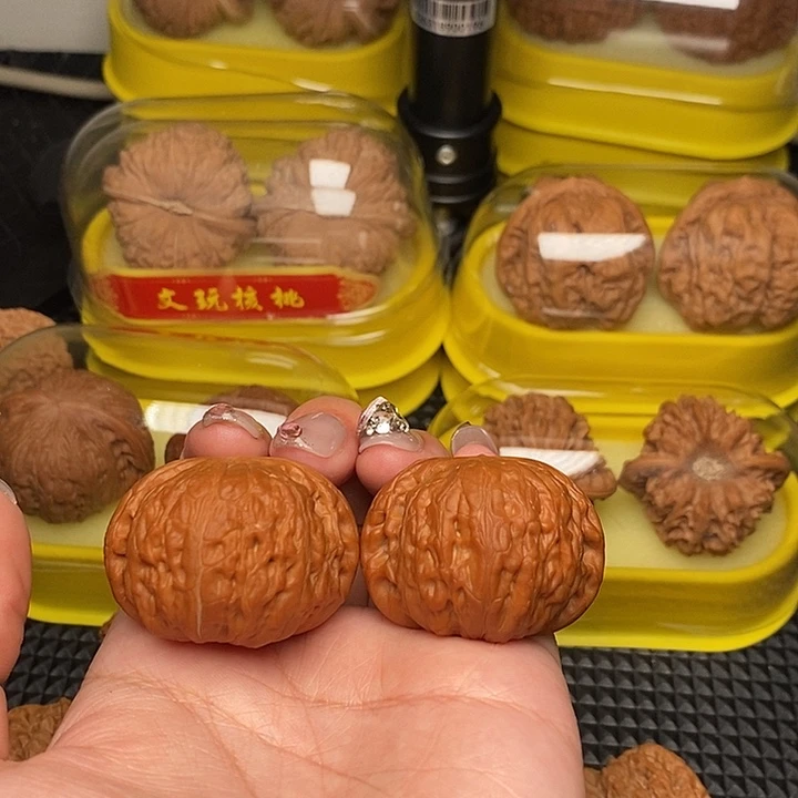 蒙***牙41铁锤