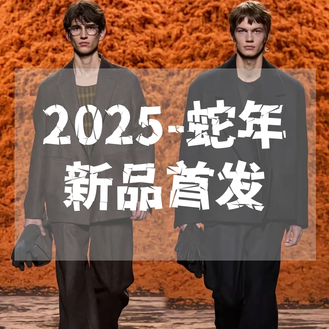 【cici】2025春季新款高品质男女同款衬衣25SS002