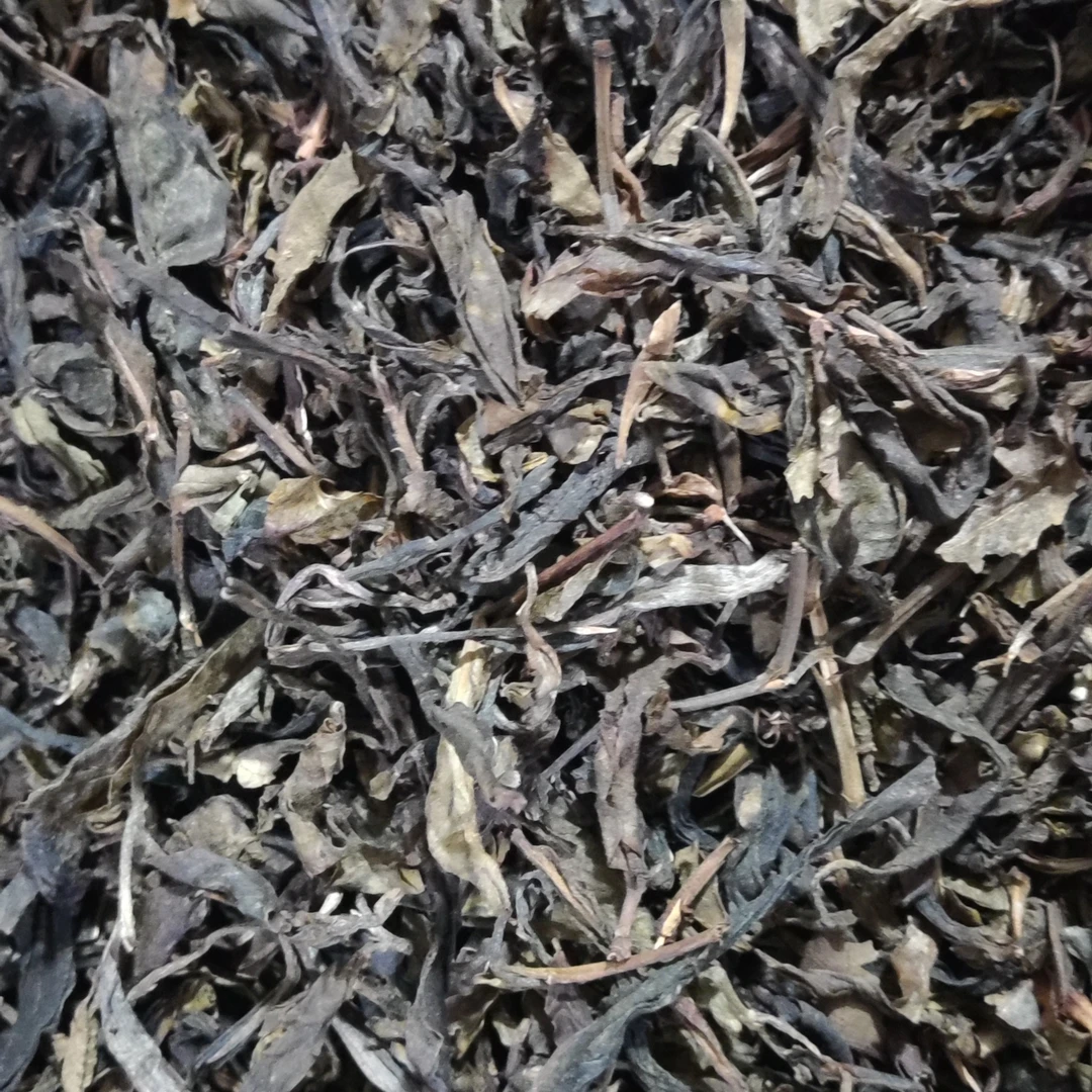 大雪山老树茶2016年