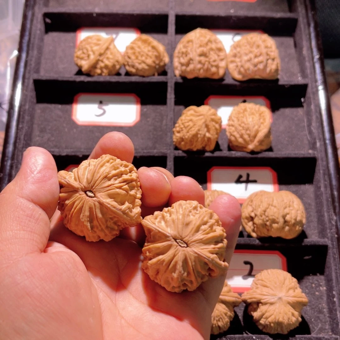 清****、秦皇岛山地果全品