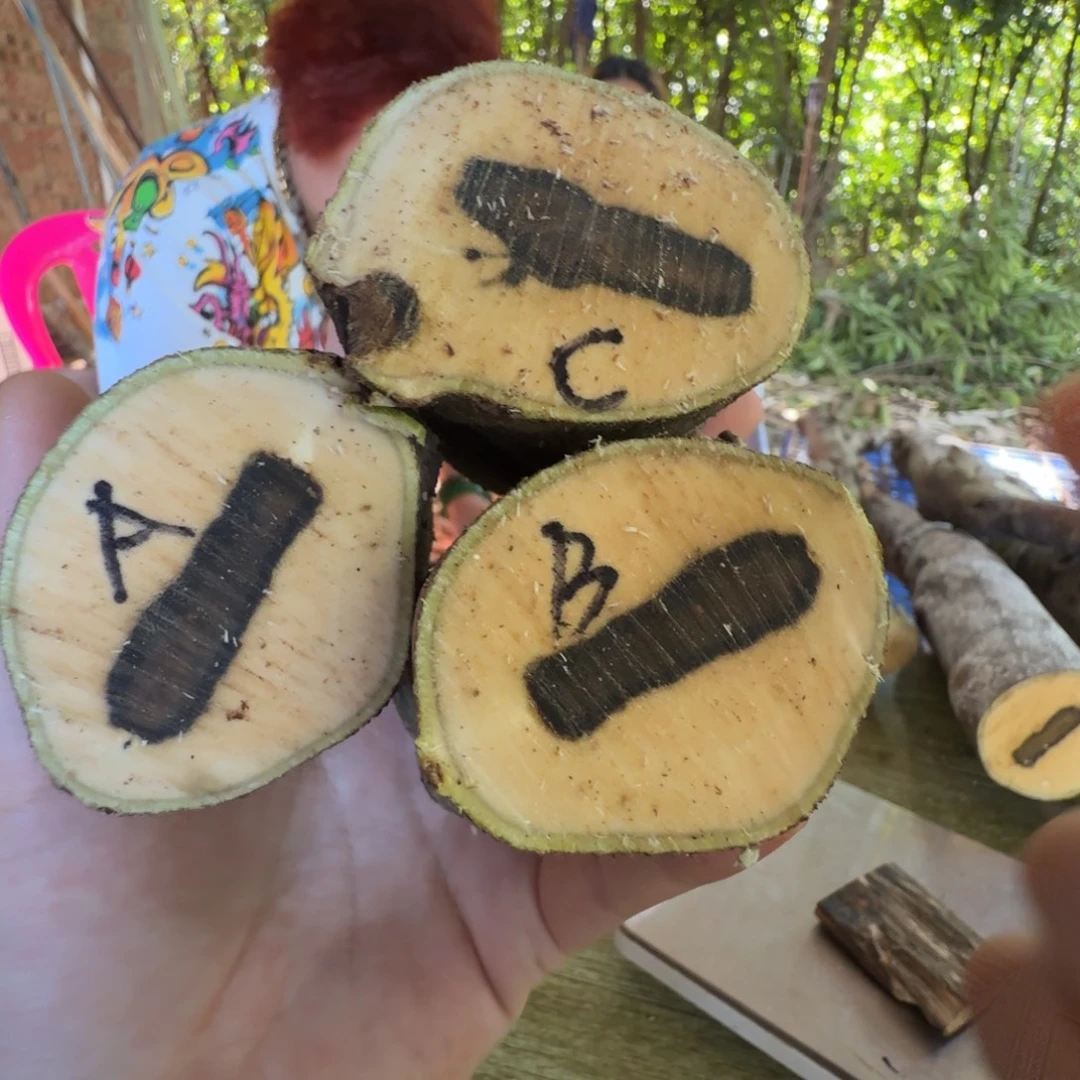 线香奇楠沉香原木