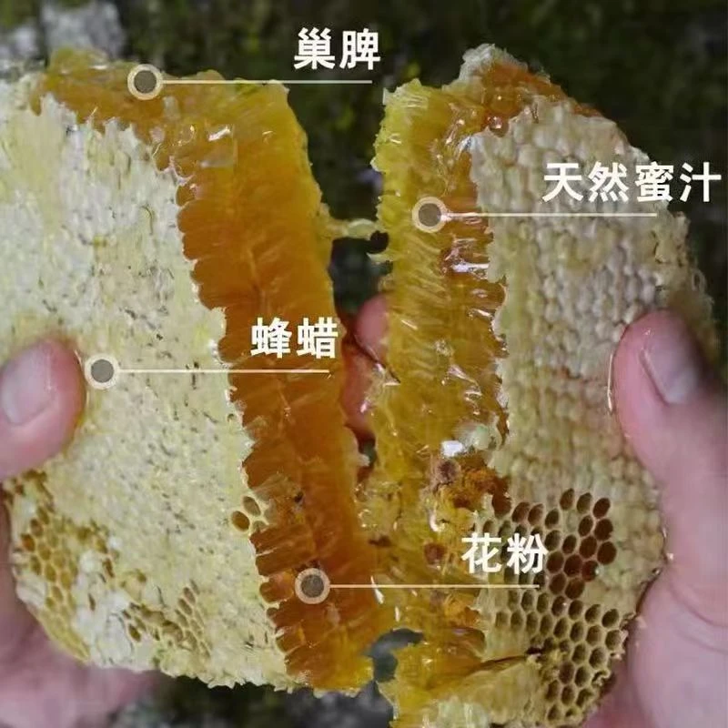蜂巢蜜盒装荆花巢蜜蜂蜜嚼着吃蜂蜜非野生整块网红零食巢蜜盒透明