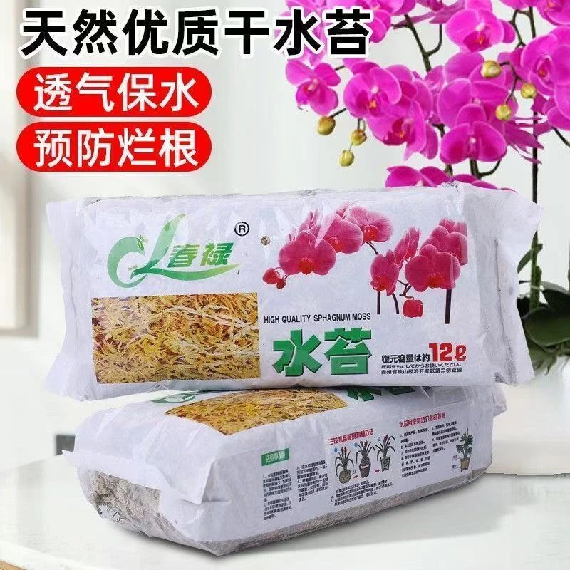水苔蝴蝶兰花专用无菌干青苔藓营养土可作乌龟爬垫材冬眠用