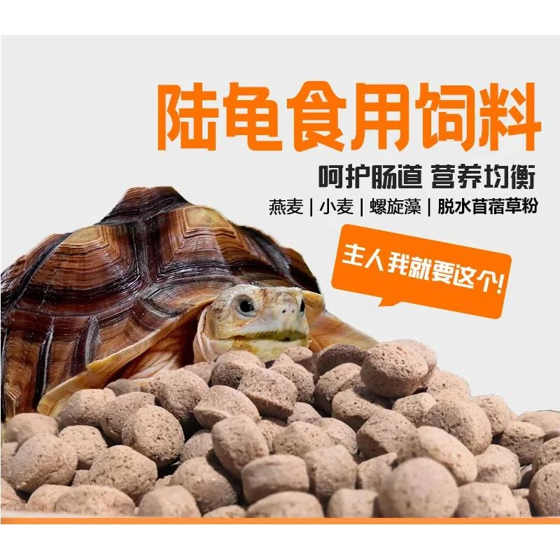 陆龟粮饲料森林沙漠旱地苏卡达豹纹辐射红腿马祖龟螺旋藻乌龟龟食