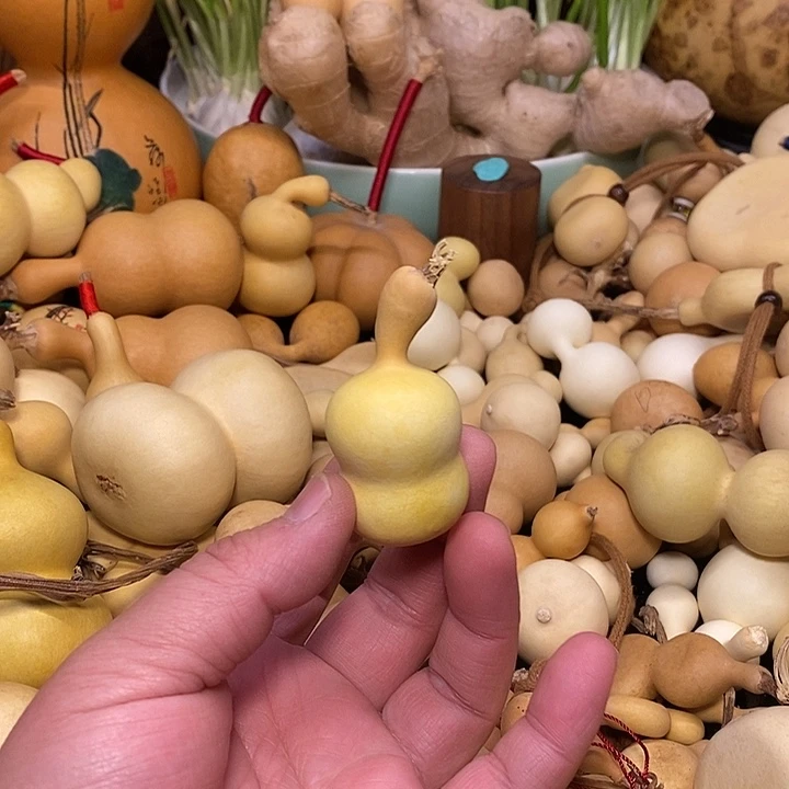 S***R精品葫芦手把葫芦61