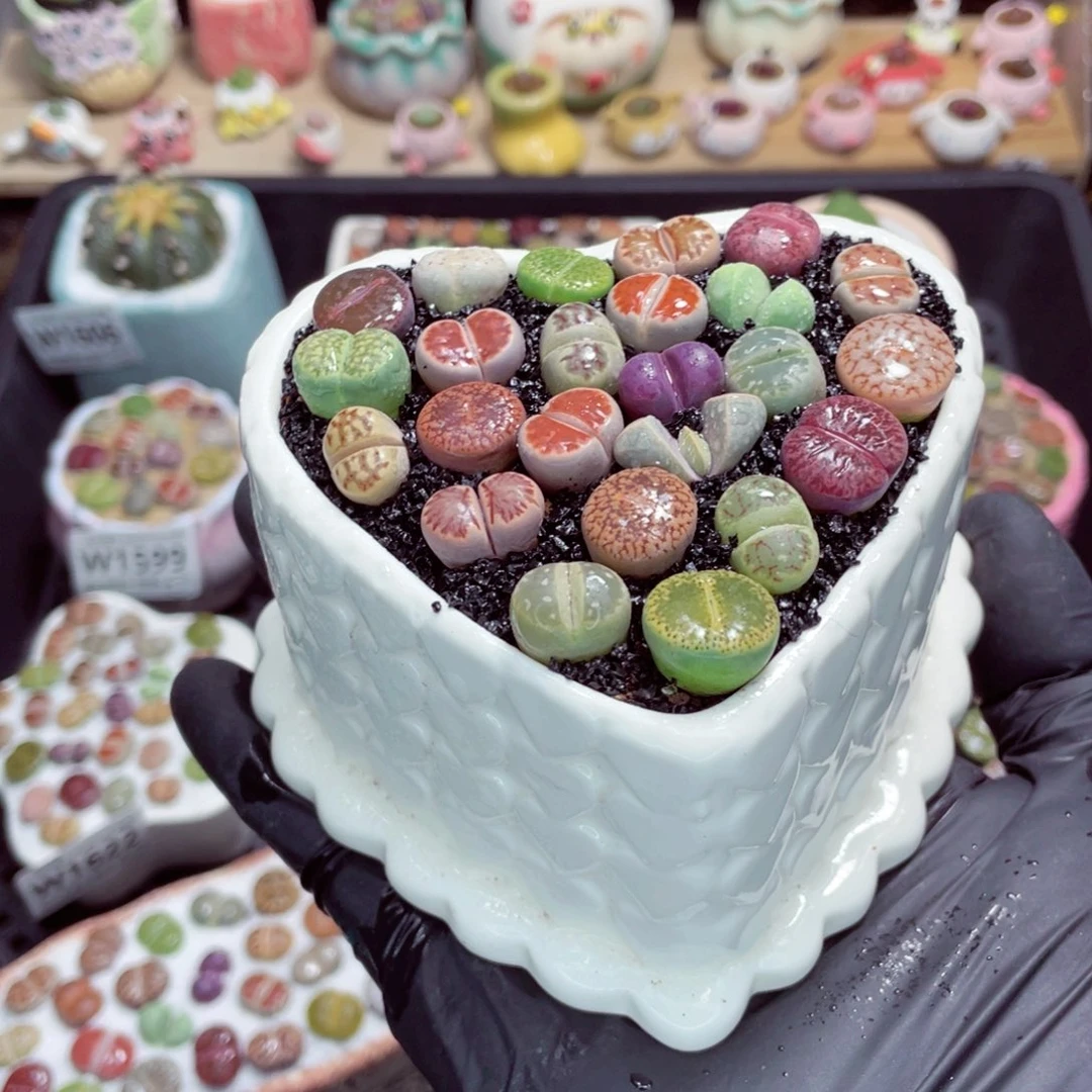 夜间零下地区拍保温箱w1625