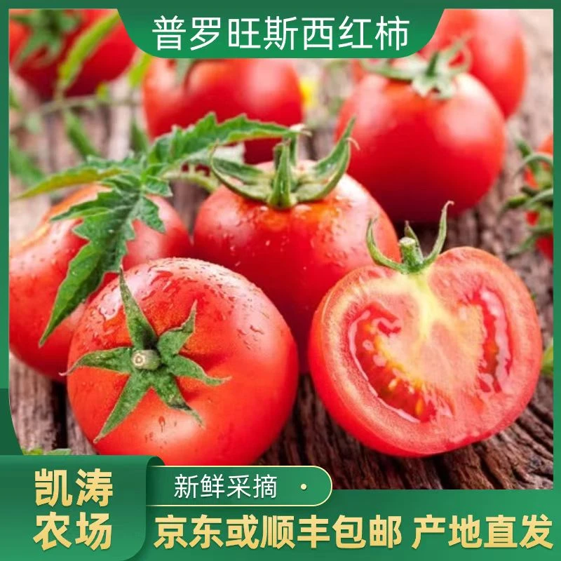 5斤普罗旺斯西红柿 炒菜做汤 现摘现发京东或顺丰包邮番茄同城配普罗旺斯天津市