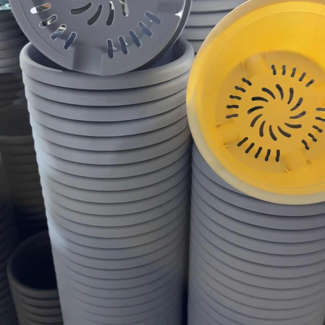 四季3号10个米黄色10个雾霾蓝色的