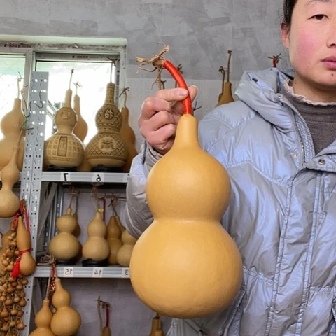 转***子天然植物葫芦文玩