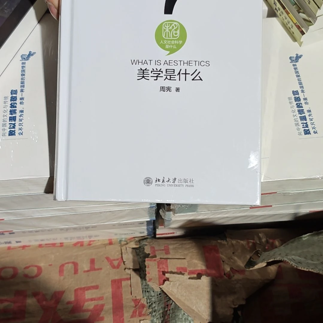 美学是什么精装塑封全新