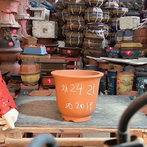 紫砂花盆高金钟盆一只