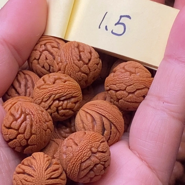 秦岭龙纹桃核16颗