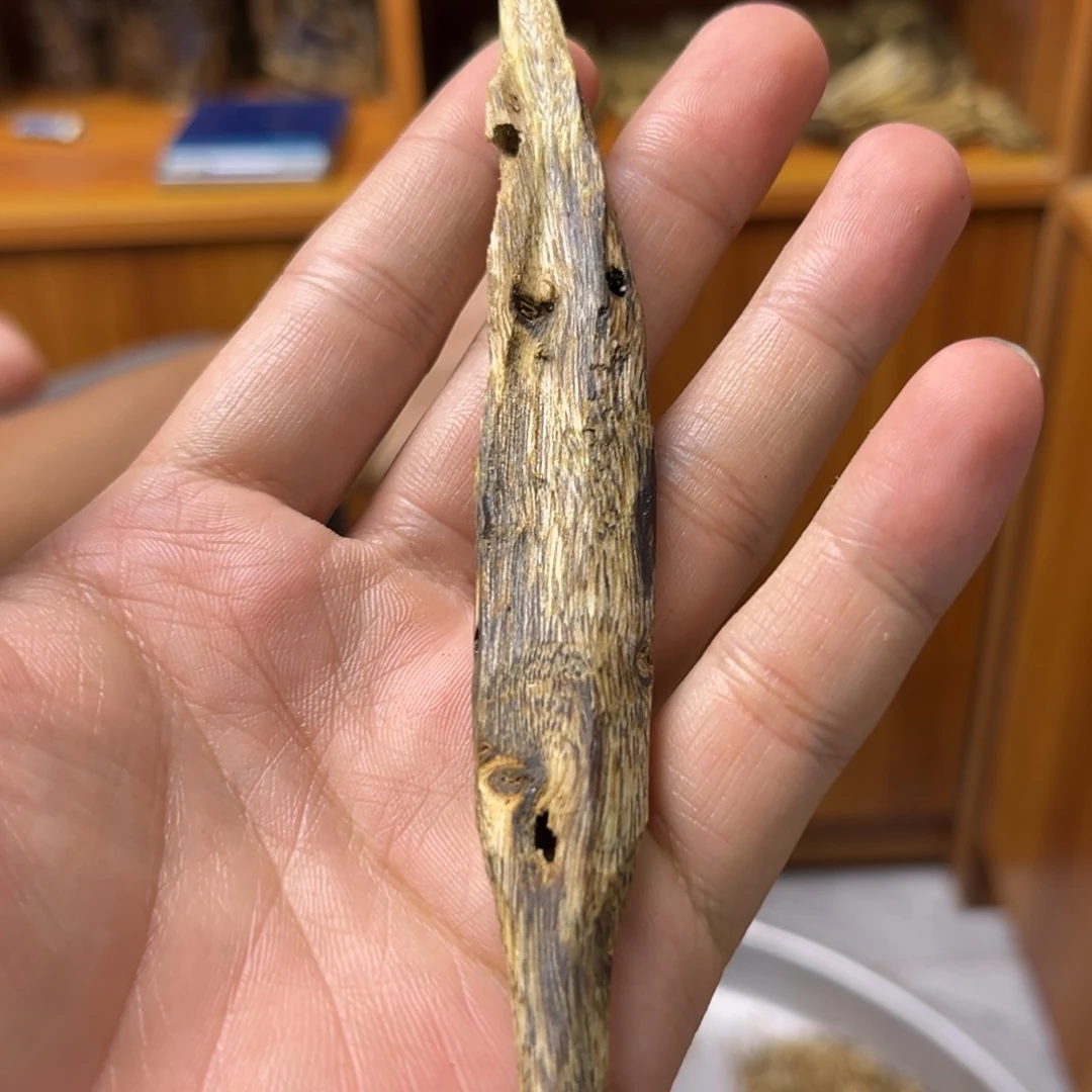 沉香沉香碎屑油叶子