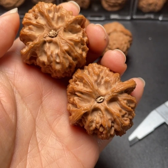 【闪购商品】把件文玩核桃老**魔苹果………