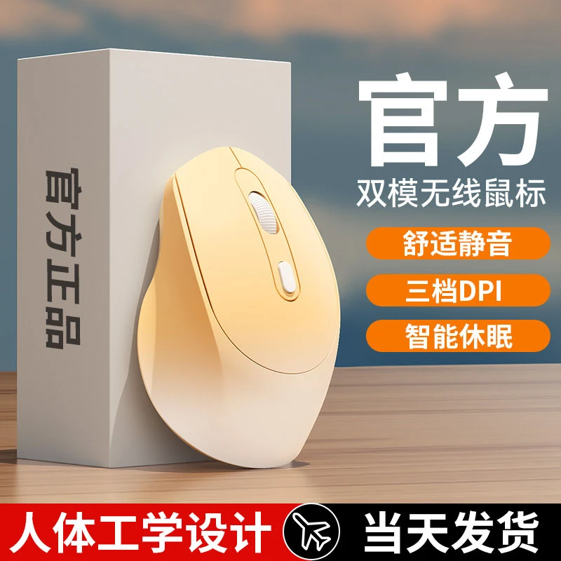 2025新款无线鼠标蓝牙静音充电式双模女生办公笔记本电脑通用滑鼠