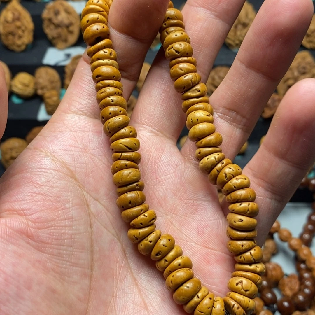 东北野生核红魔料蒜瓣大肠9+