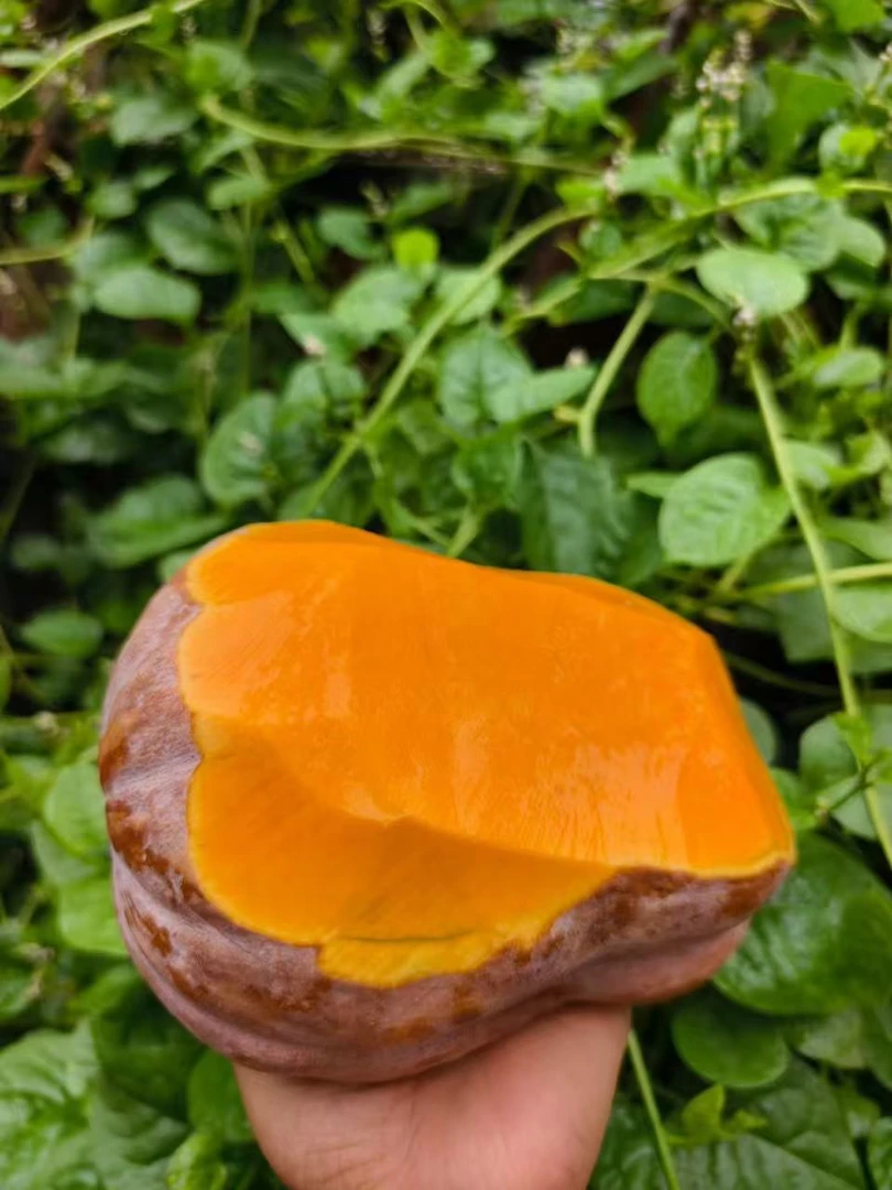 襄阳新鲜山地南瓜软糯香甜口感好