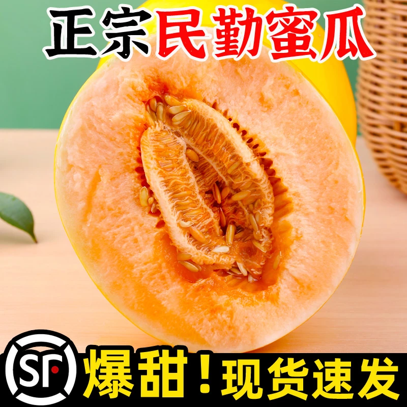 【顺丰发货】甘肃民勤蜜瓜丨黄金蜜瓜甜蜜多汁果肉厚实
