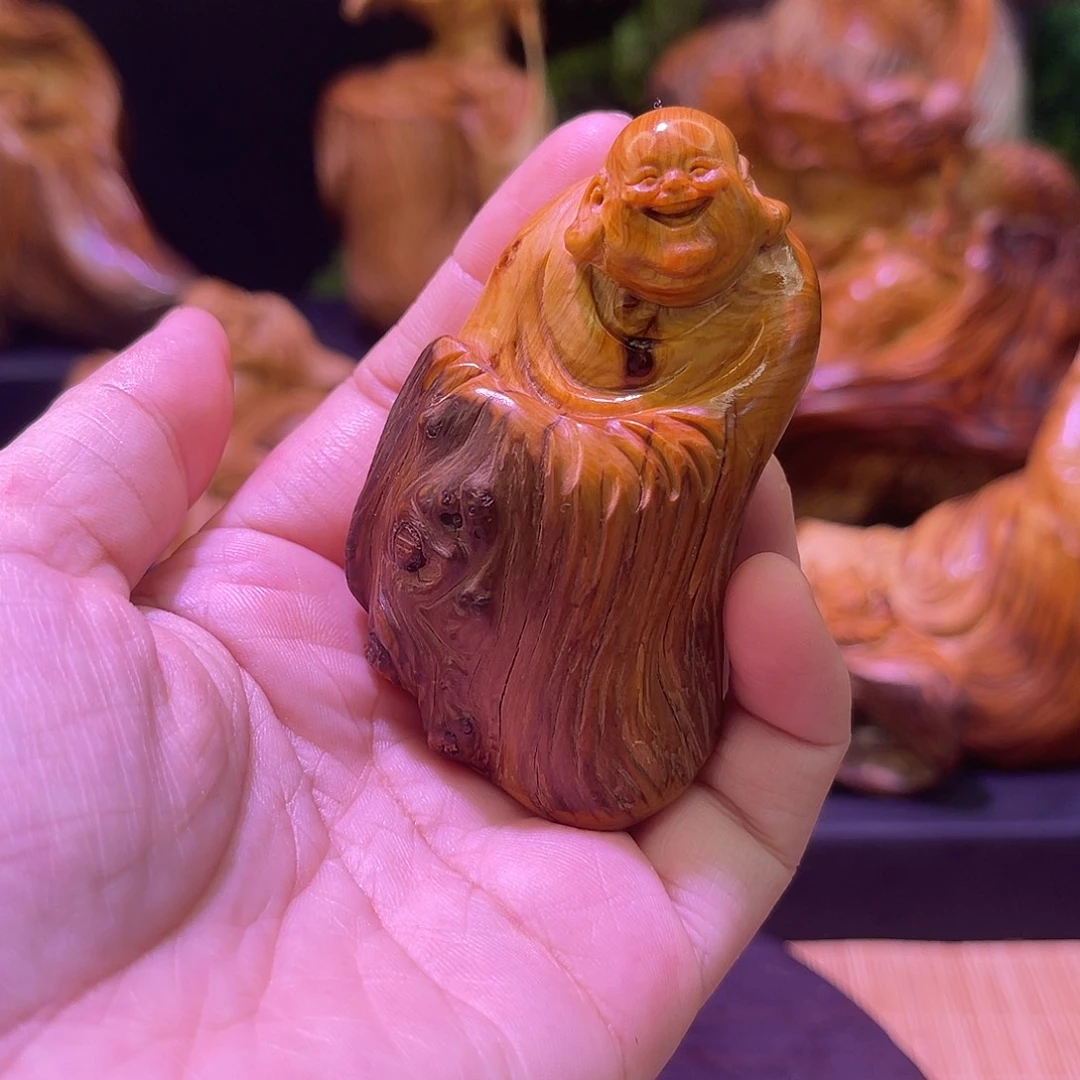 柏木888888888888888888888