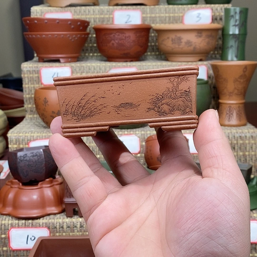 紫砂花盆我在看书