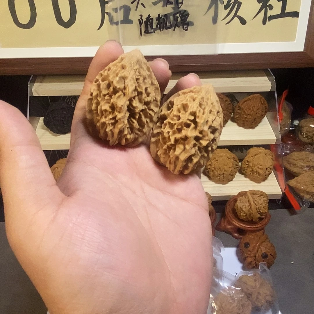 51高全品招财鼠11