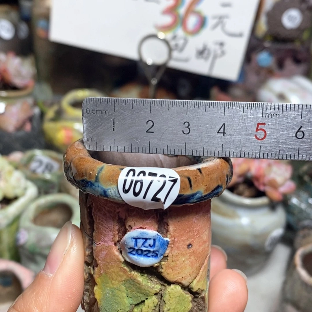 花盆拍3送一个小礼物