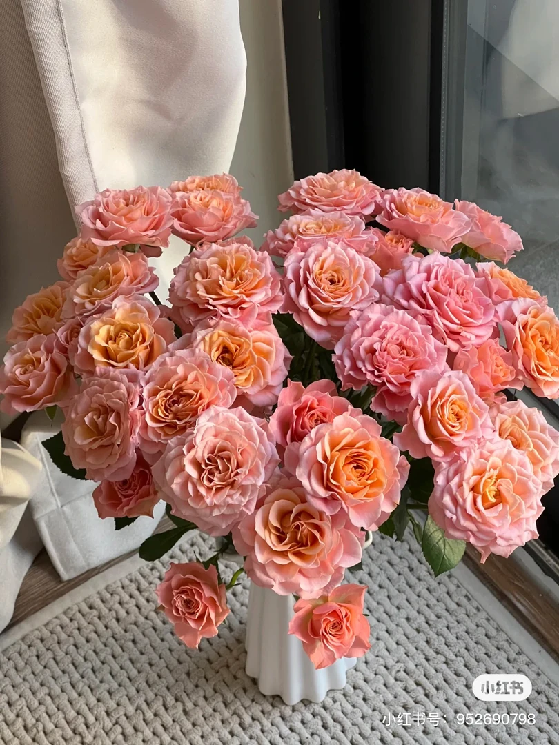 【俏夕阳】光影 拍下三单及以上顺丰空运包邮10支装%20不售后