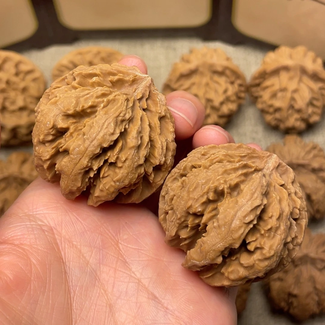 .***Ｙ核桃秦岭核桃13号