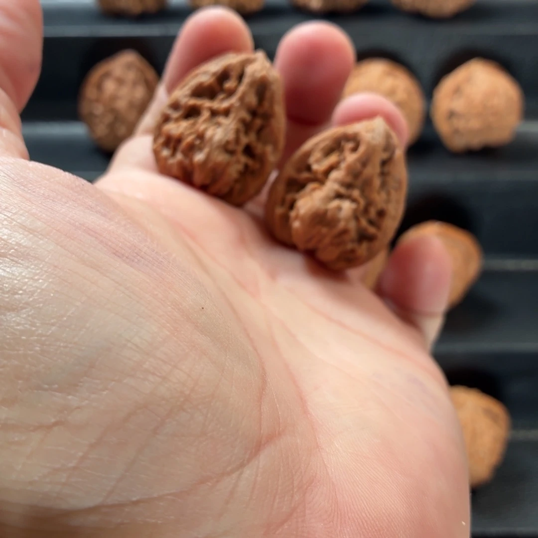 桃核把件涿鹿老南疆29